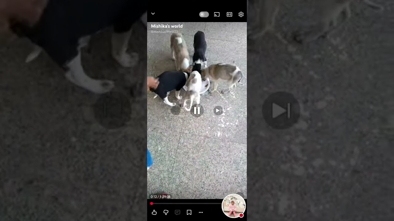 Mishika's play with puppies #puppies #mishika #cutebaby