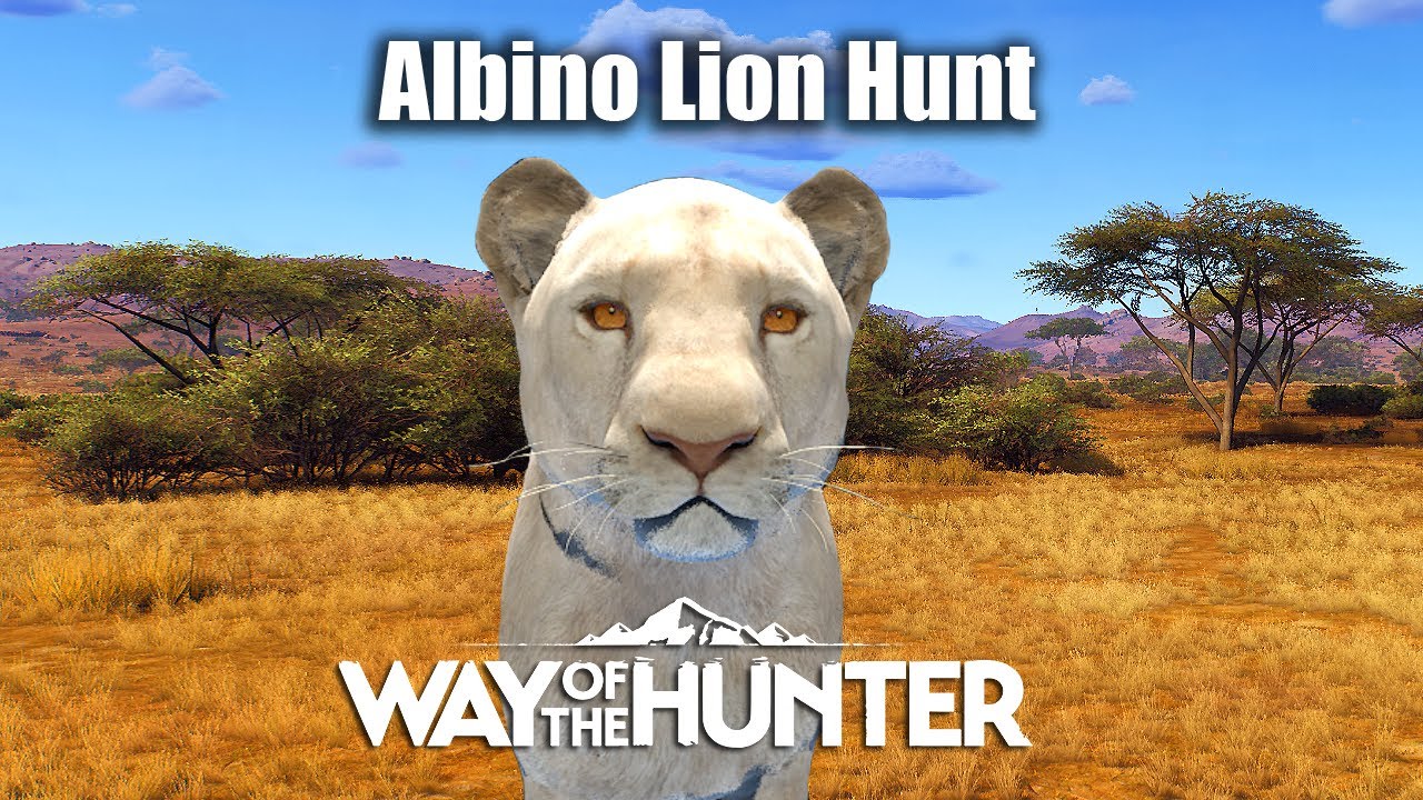 Way Of The Hunter - Albino Lion Hunt