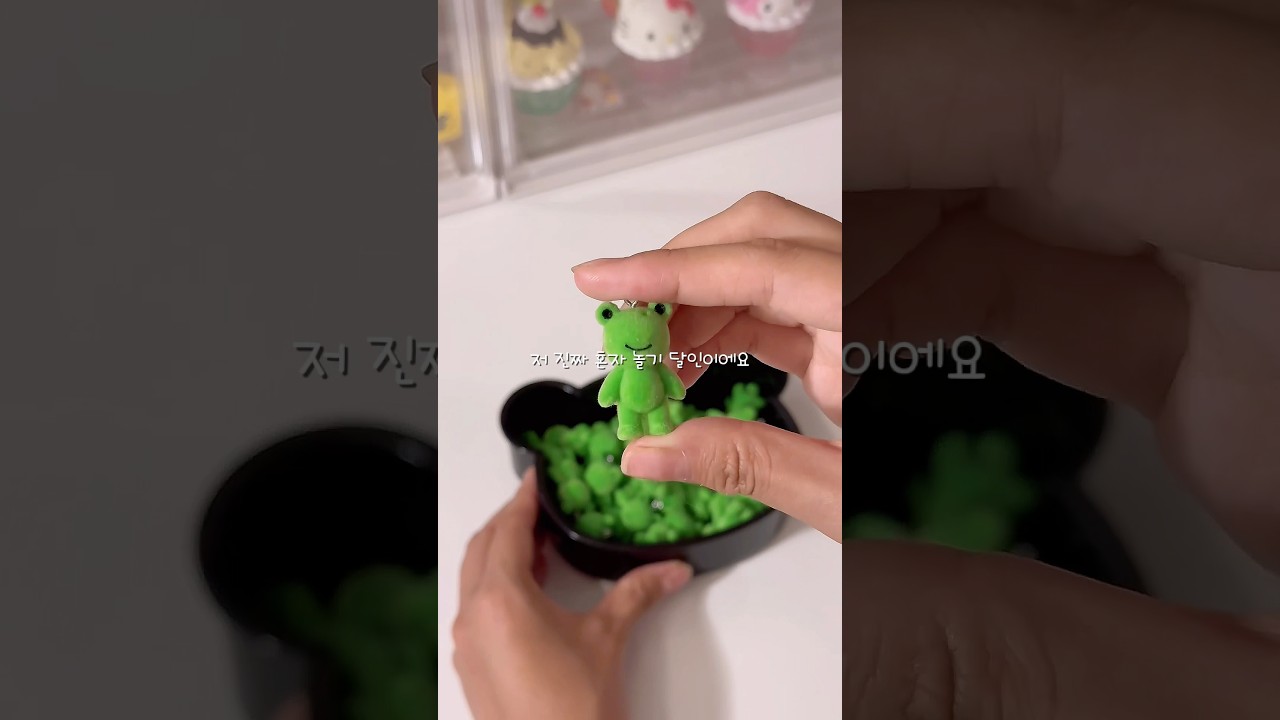 혼자 해외여행 갔다 온 백꿈 #고전문구 #포장