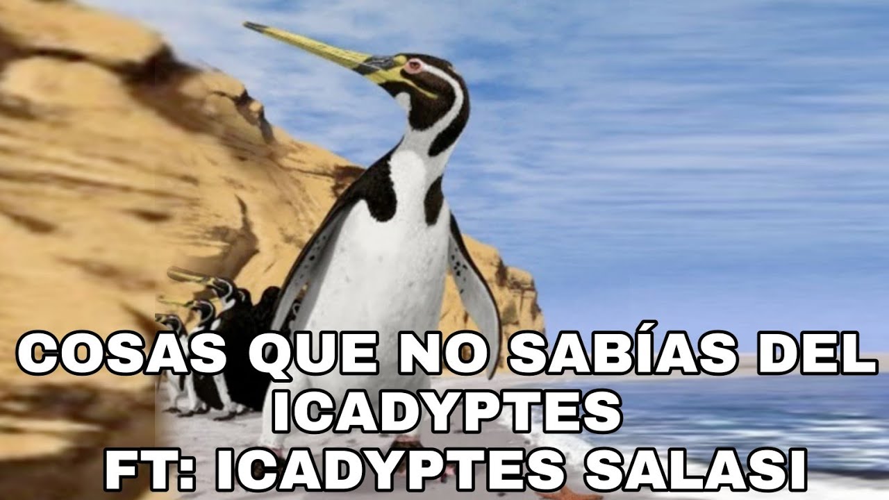 Cosas que no sabias del Icadyptes. FT: Icadyptes salasi.