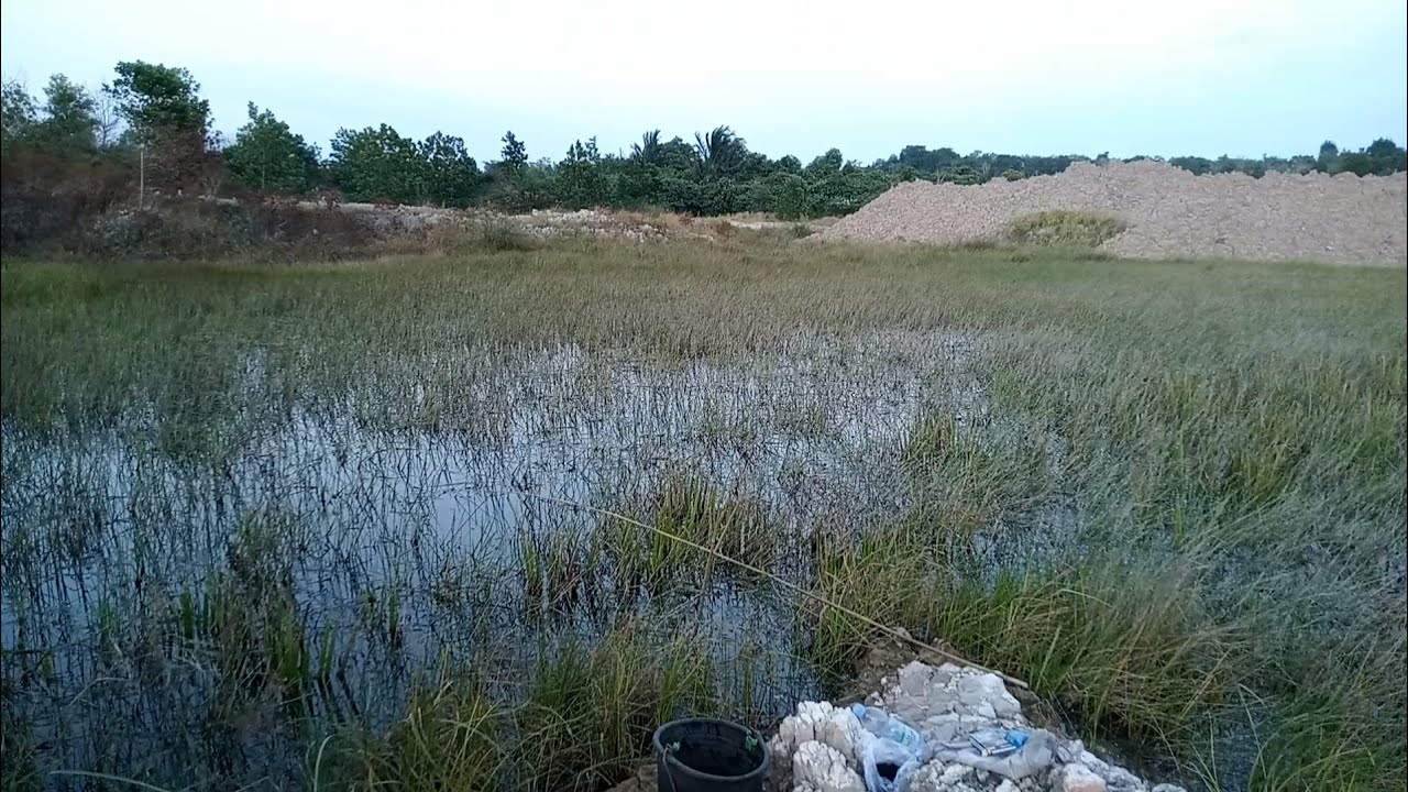 Mancing Cuma Dapet 1 Point,,🤭🤭
