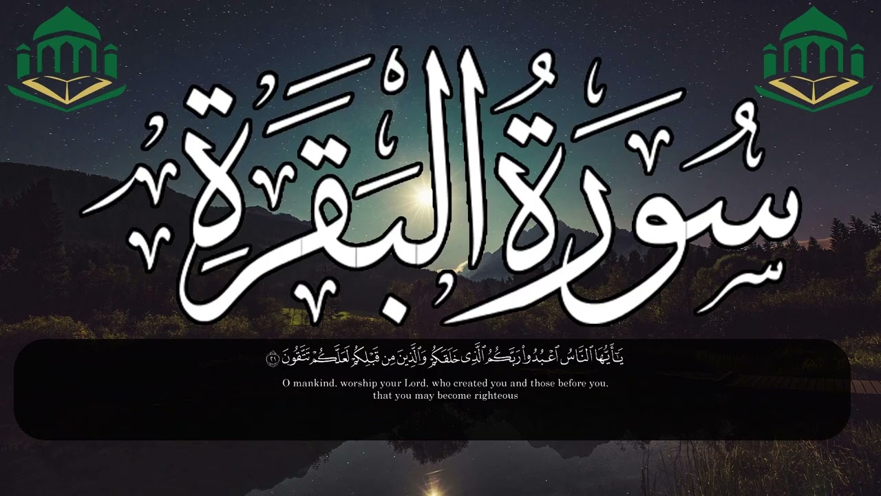 سورة البقرة في الصباح لنزول البركة وسعة الرزق وطمأنينة القلب والحفظ من كل سوء مع بداية اليوم 🌅🤍✨