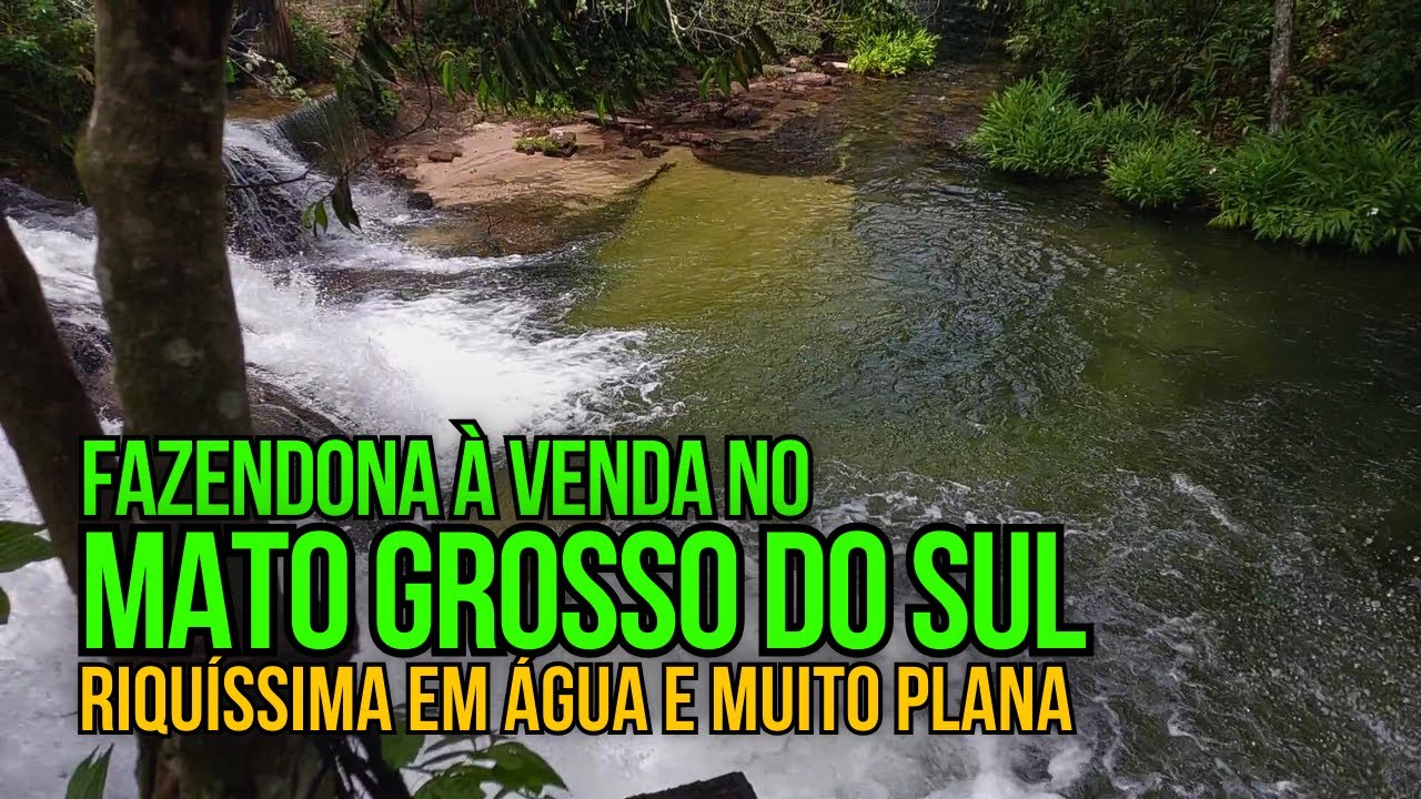 LINDA FAZENDA DE DUPLA APTIDÃO À VENDA NO MATO GROSSO DO SUL
