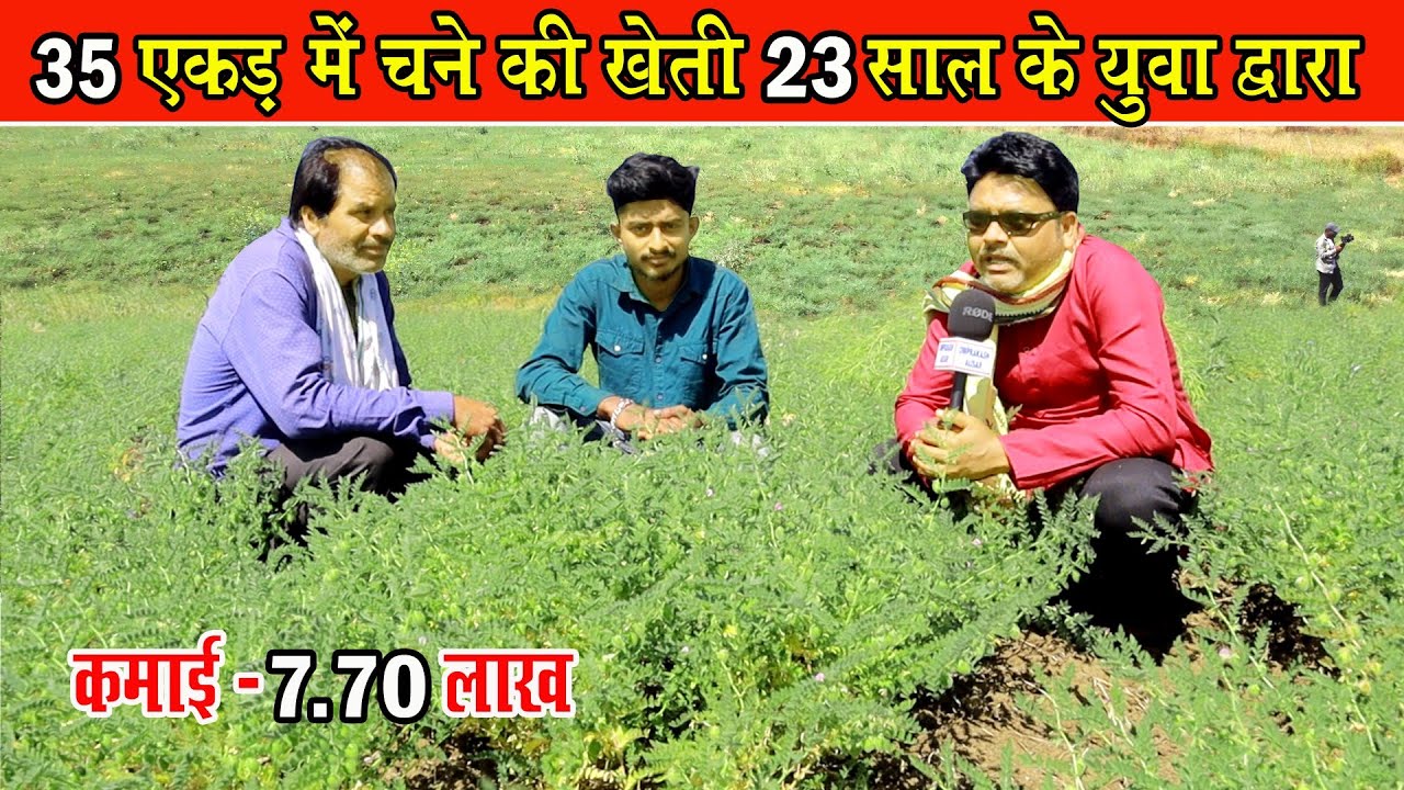 35 एकड़ में चने की खेती 23 साल के युवा द्वारा।। 35 Ekad Men Chane Ki kheti Karmtara Khairagarh CG