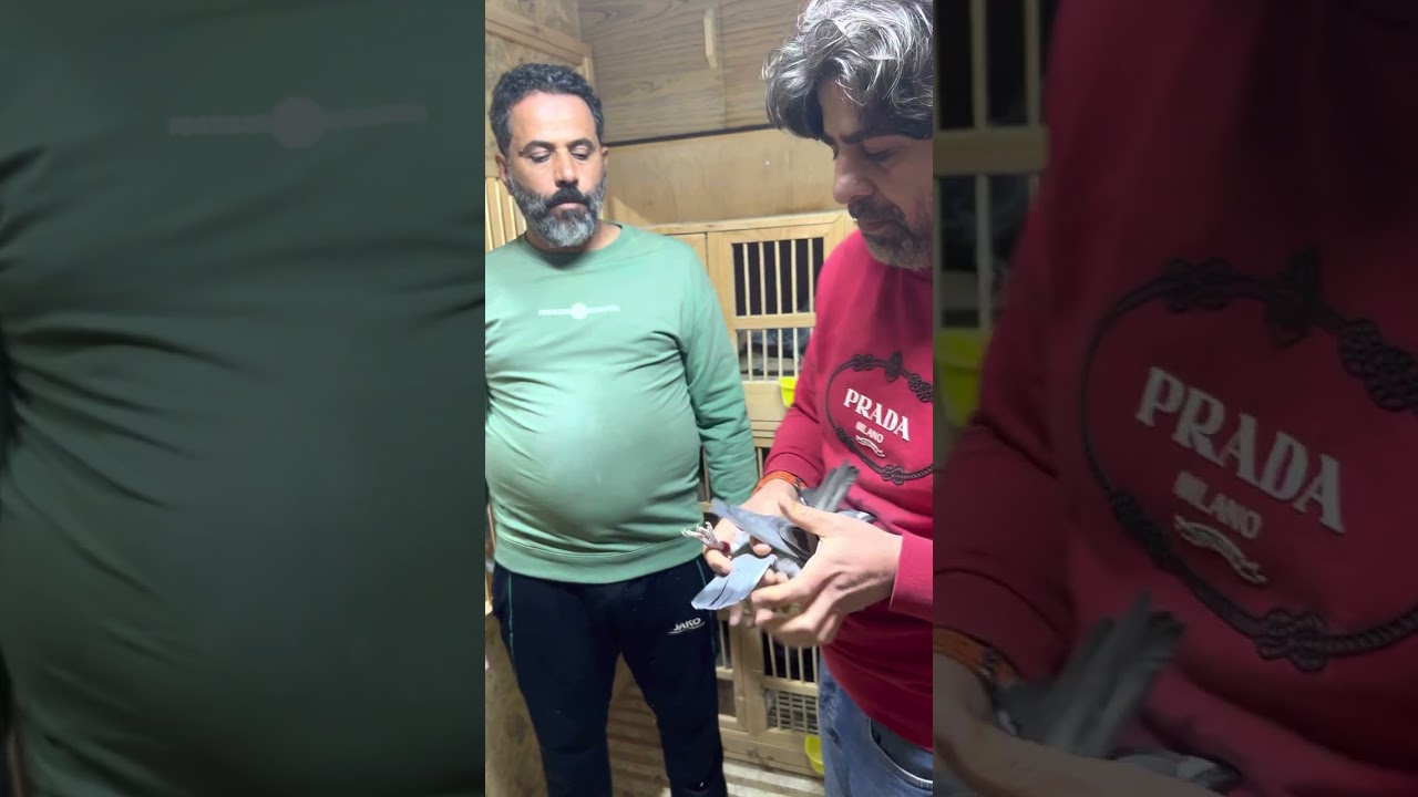 افتتاح لوفت الاخ كمال الحمراني للانتاج