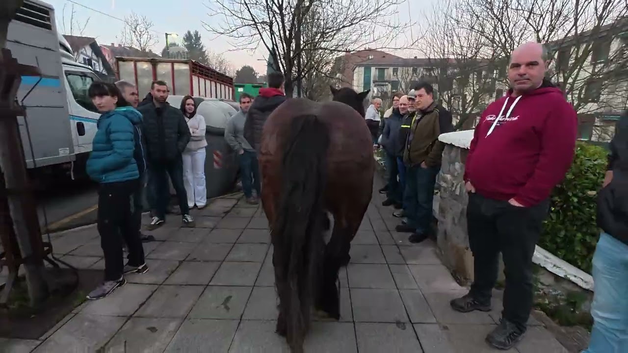 Santa Lutzi feria 2025