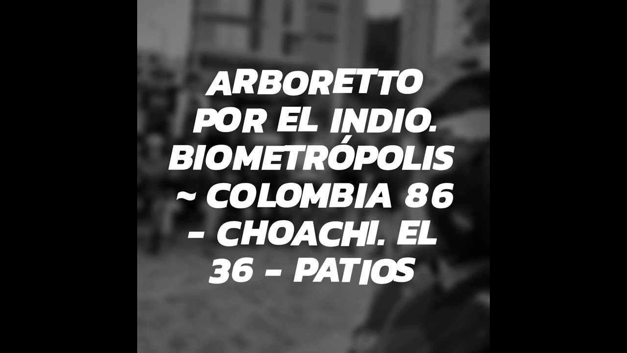 Arboretto por el indio. Biometr&oacute;polis ~ Colombia 86 - Choachi. El 36 - Patios