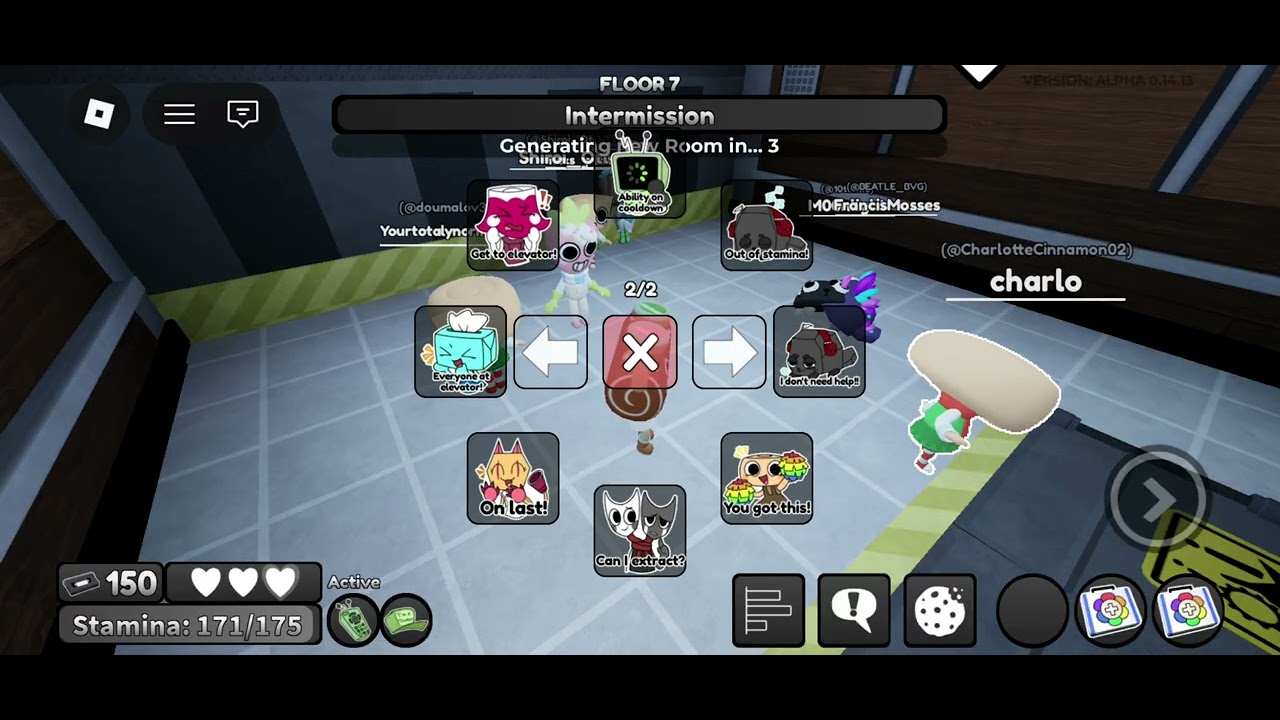 Dandys world run dyel floor triple main floor twisted shelly pebble and Vee 