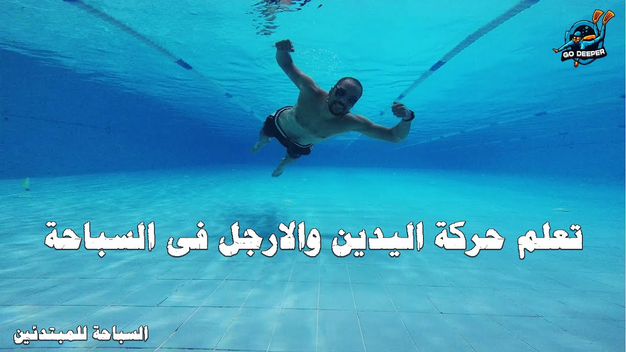 تعليم السباحة للمبتدئين l تعلم حركة الاطراف فى سباحة الحرة والظهر