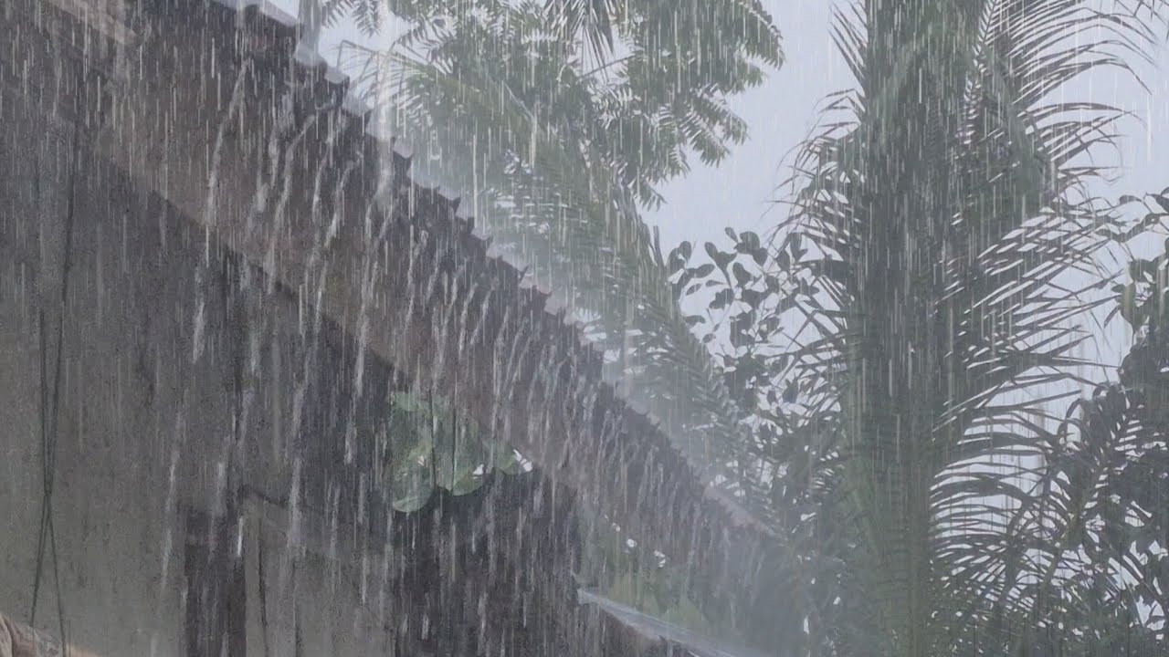 Peaceful Rain Sounds Near the House for Deep Sleep