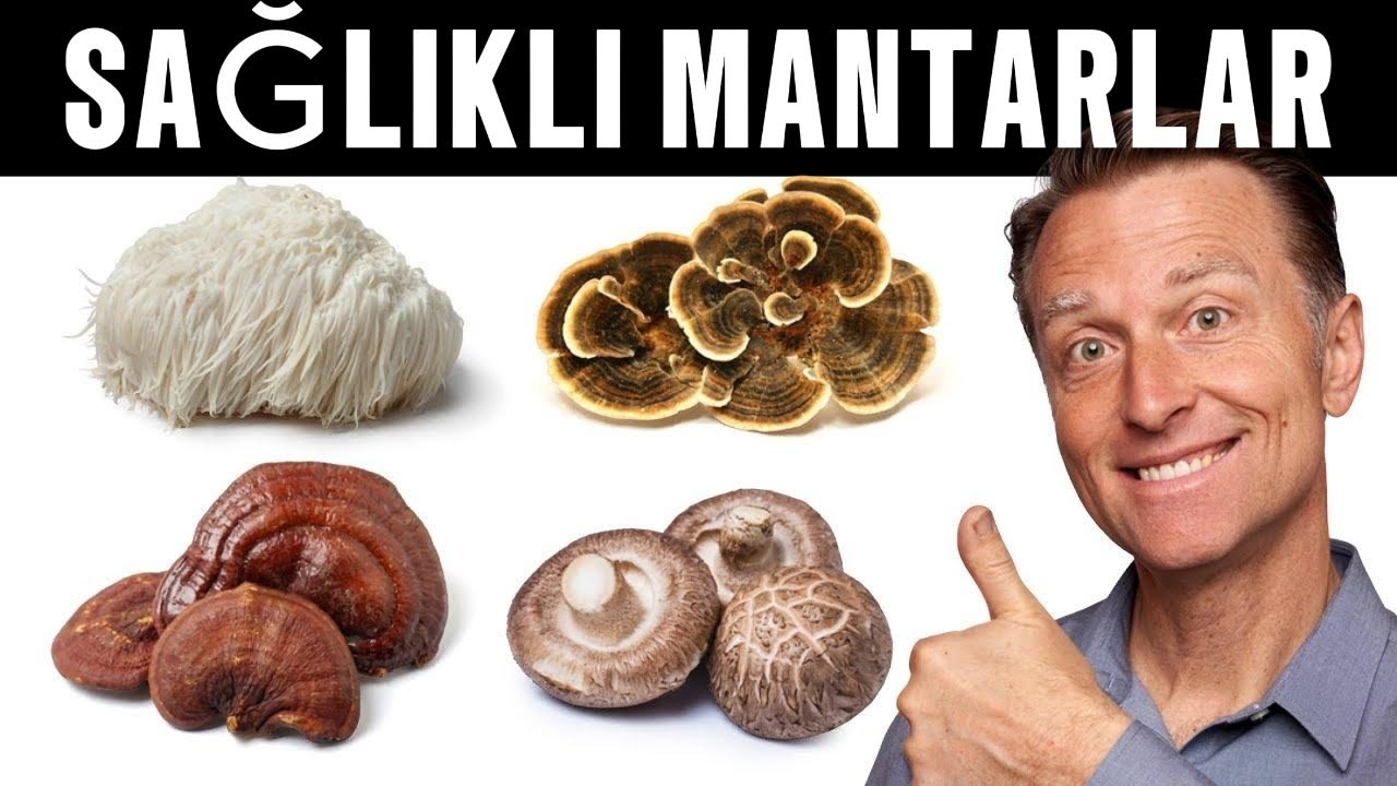 4 Mantarın Aklınızı Başınızdan Alacak Faydaları | Dr. Berg T&uuml;rk&ccedil;e