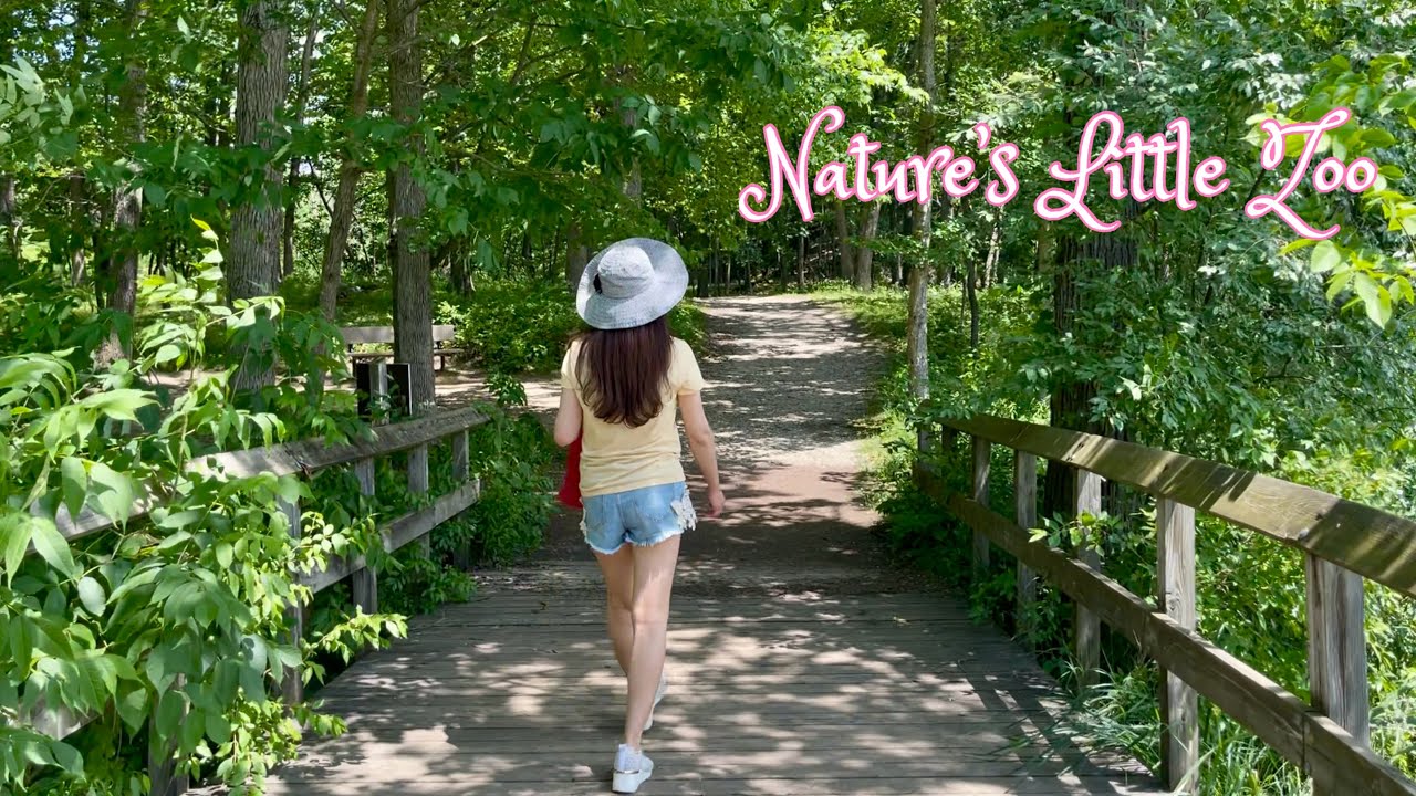 A Peaceful Walk in Nature’s Little Zoo