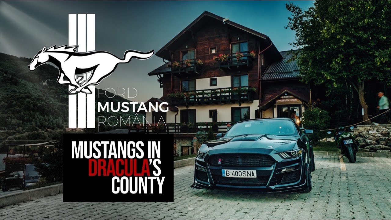 Mustangs in Dracula's County 2023 (The Story Goes On)