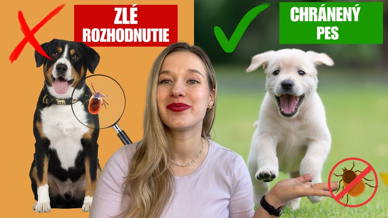 Najlepšia ochrana proti kliešťom pre psa v roku 2025