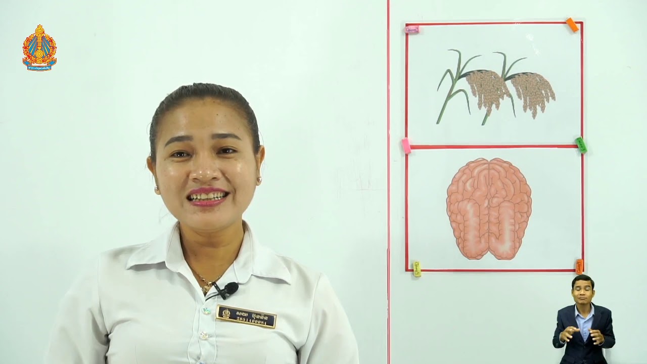 ថ្នាក់ទី១ ភាសាខ្មែរ មេរៀនទី៣៖ ស្ពានទី១ ព្យព្ជានៈ កខចឆ ផ្សំស្រៈួ (ម៉ោងទី១)