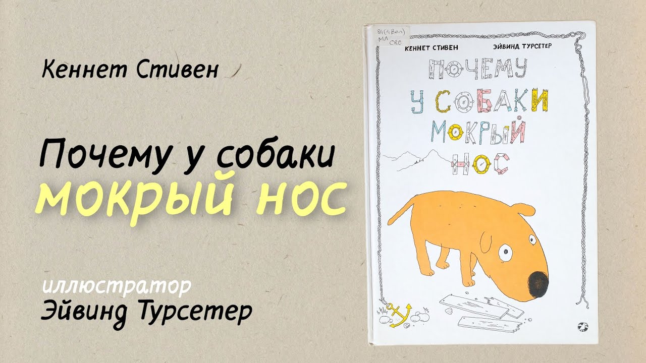 ПОЧЕМУ У СОБАКИ МОКРЫЙ НОС