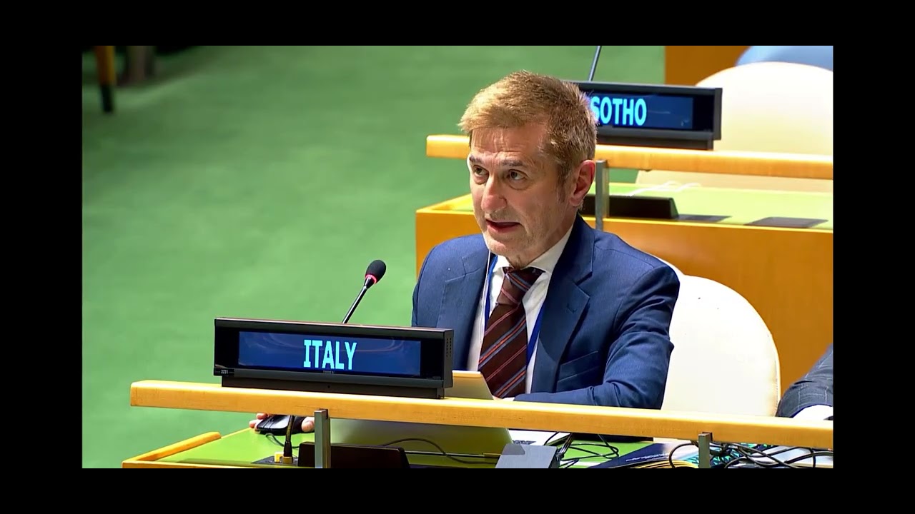 XI Review Conference of the Non-proliferation Treaty (NPT)