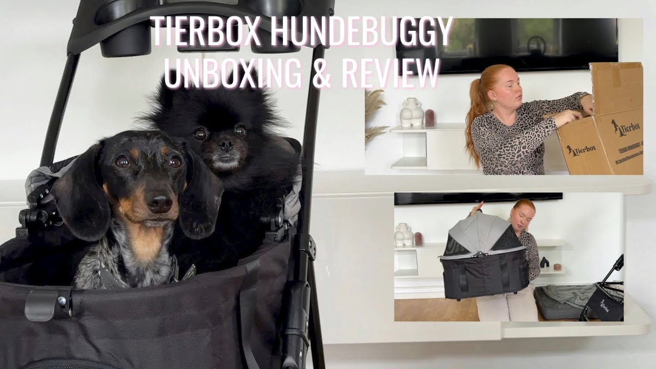 TIERBOX HUNDEBUGGY & AUTOSITZ UNBOXING & REVIEW