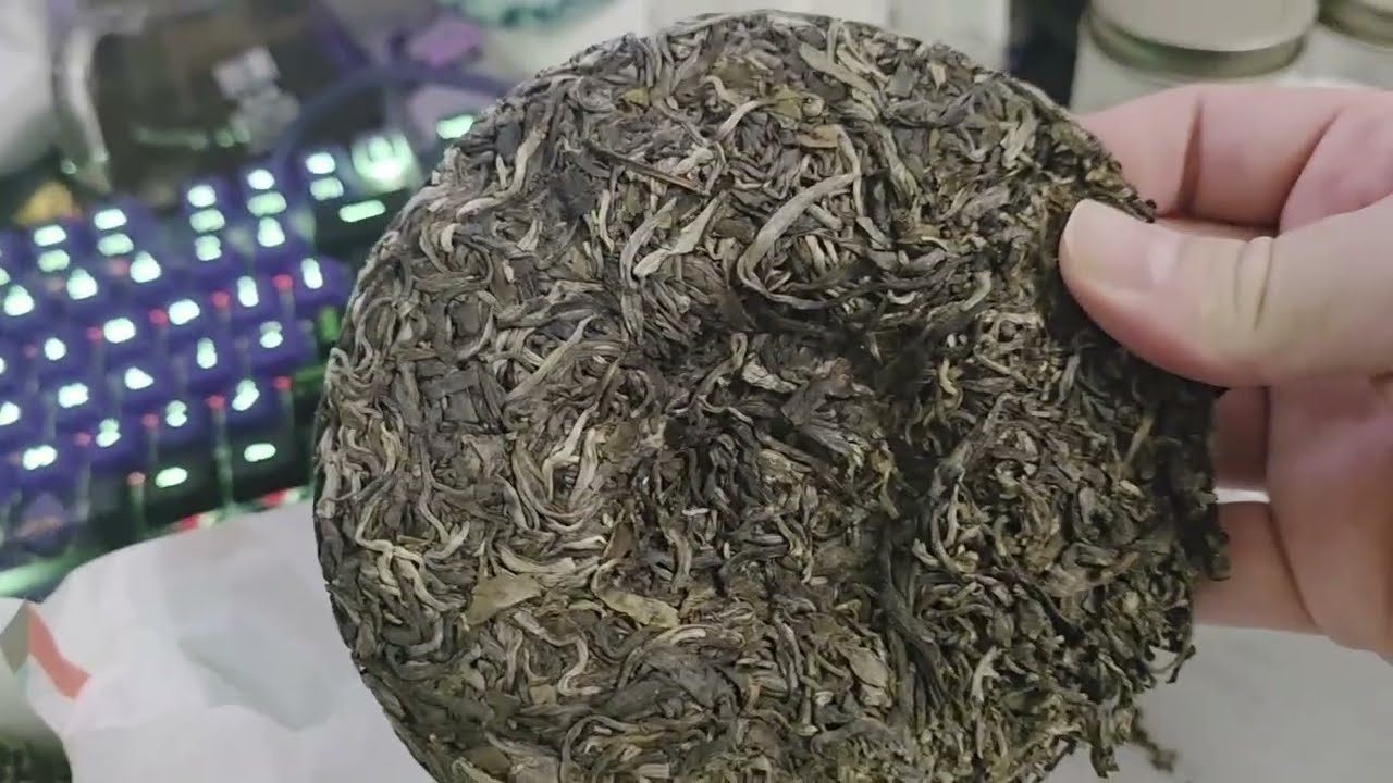 Underdog 2025 Spring Bulang Raw Puer- Bitterleaf Tea