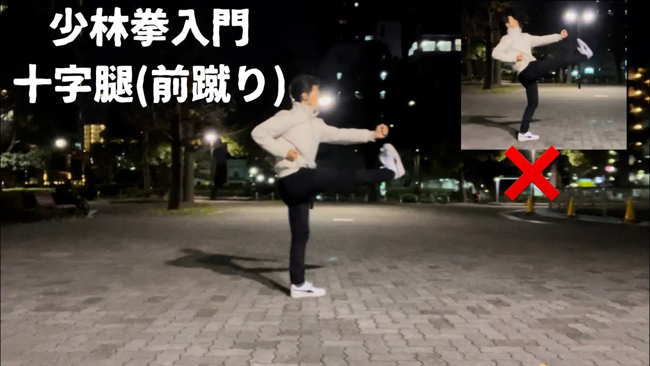 少林拳の前蹴りは他の格闘技と同じ？違う？Push Kick in Shaolin Way