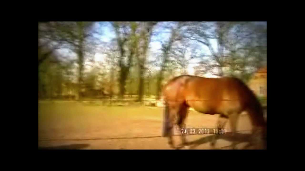 de Hiddingh Hoeve