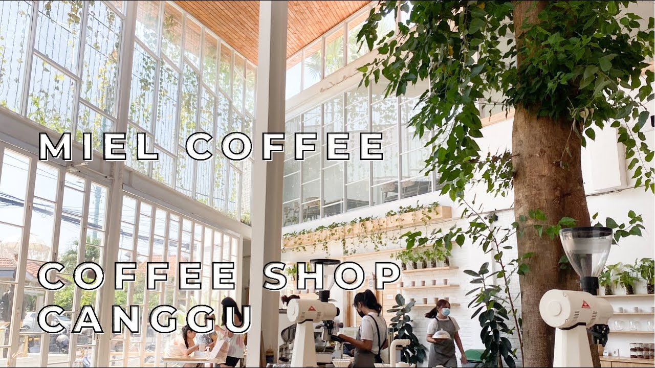 COFFEE SHOP CANGGU, MIEL COFFEE