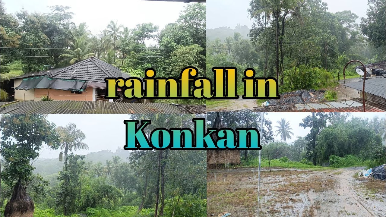 Rainfall in Konkan #kokaniculture #rain 