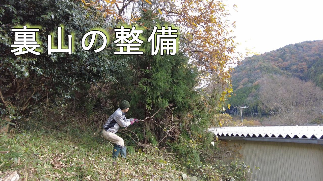 裏山の手入れ・枝を落としてスッキリ