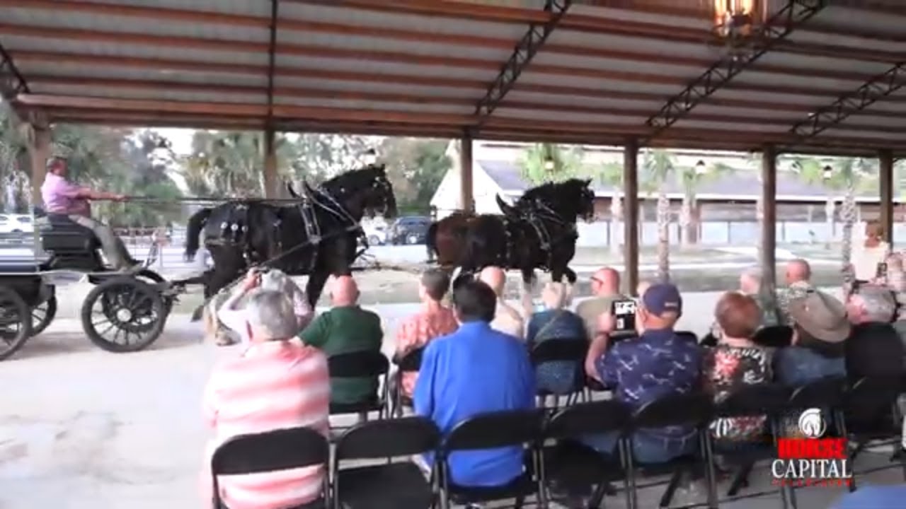 Grandview Clydesdales Carriage Dinner Show