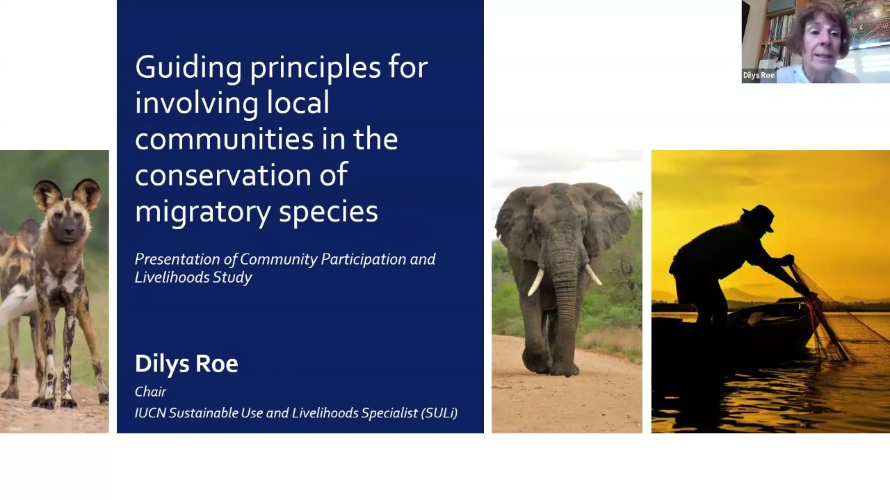 Webinar: Community Participation in the Conservation of Migratory Species