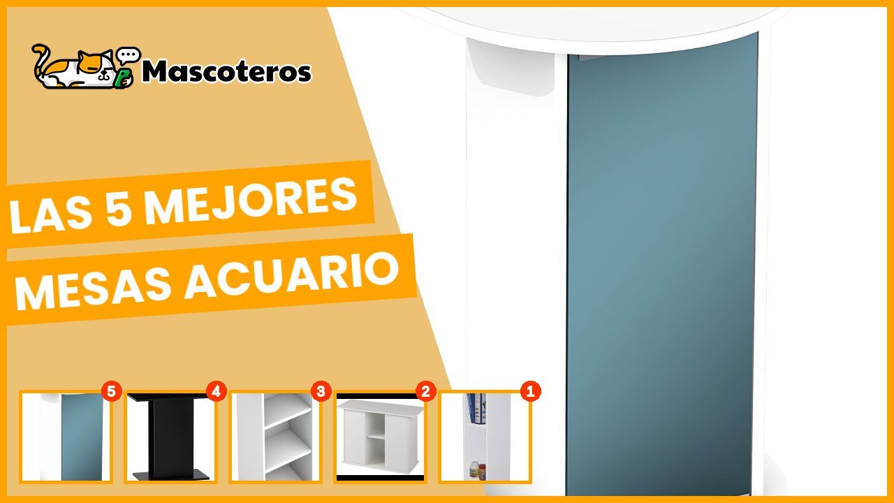 Las 5 mejores mesas acuario