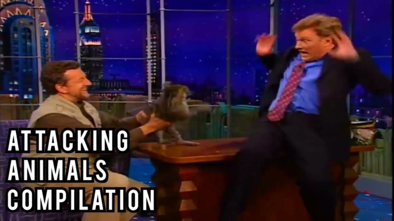 Conan O'Brien Is Attacked By Animals For 10 Minutes STRAIGHT (compilation)
