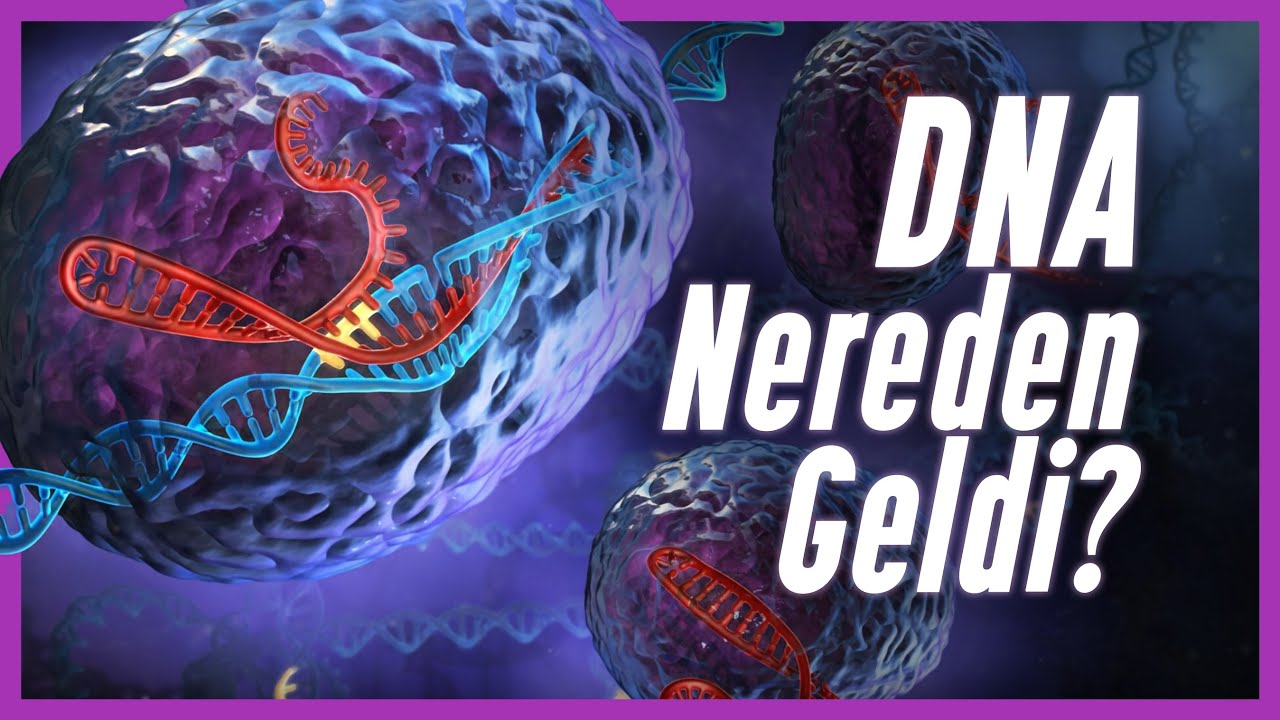 Yaşamın Kodu DNA Tek Alternatif miydi?
