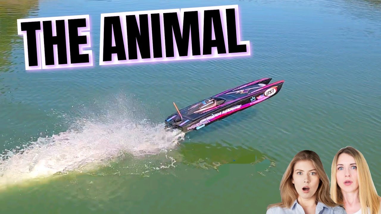 Быстрая радиоуправляемая лодка! Animal Twin Cat от Oxidean Marine Hobbywing, программируемая по B...