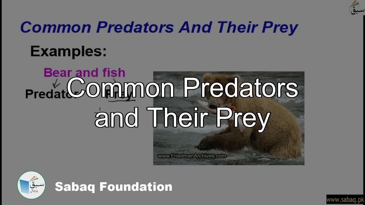 Common Predators and Their Prey, General Science Lecture | Sabaq.pk