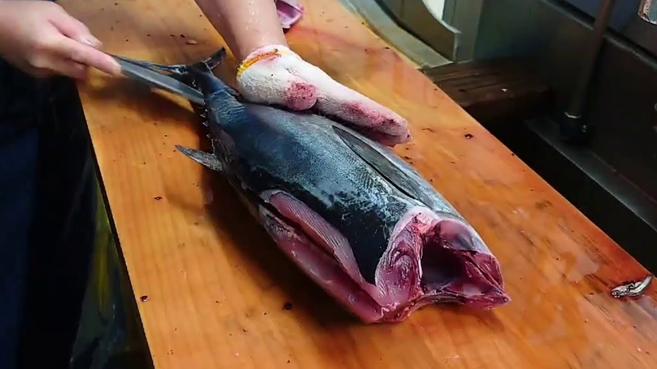 Bonito Fish Filleting Sashimi Making