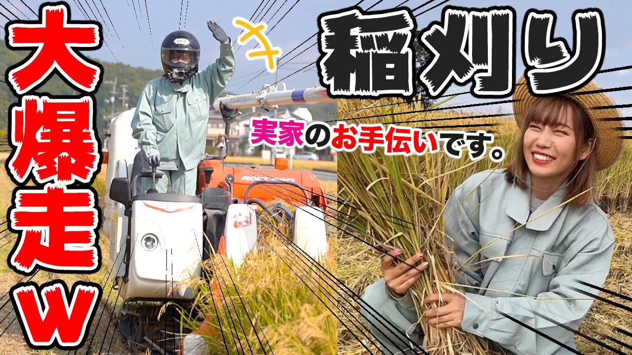 バイク女子が実家の稲刈りマシンで田んぼを大爆走してみた【田舎】