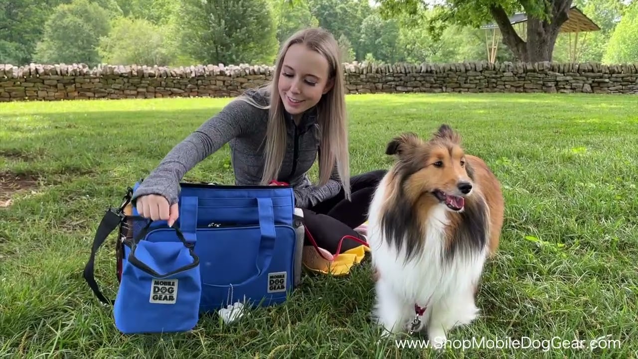 Mobile Dog Gear Short Introduction