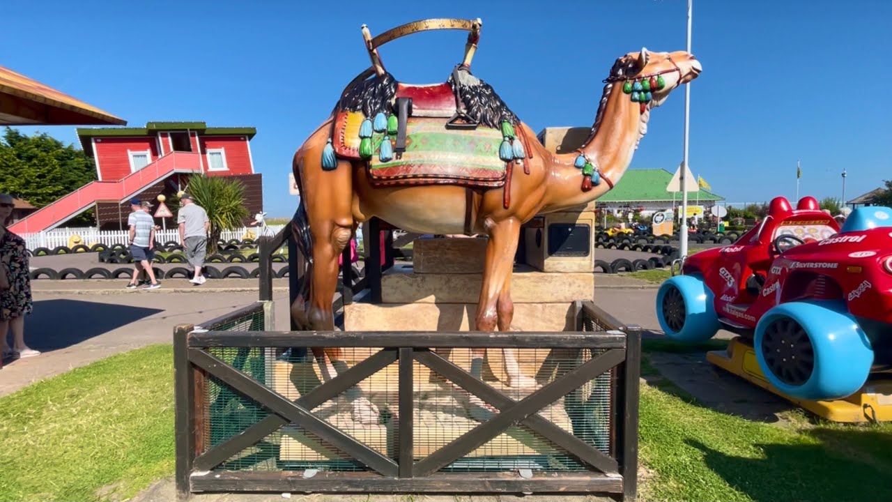 Memo Park Camel Coin Operated Kiddie Ride