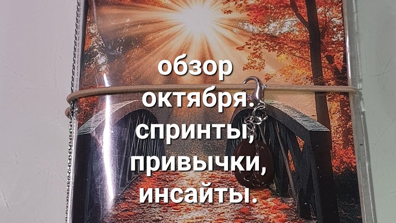 Планирование без иллюзий: что оказалось полезным в октябре? ежедневник, my planner, sterling ink