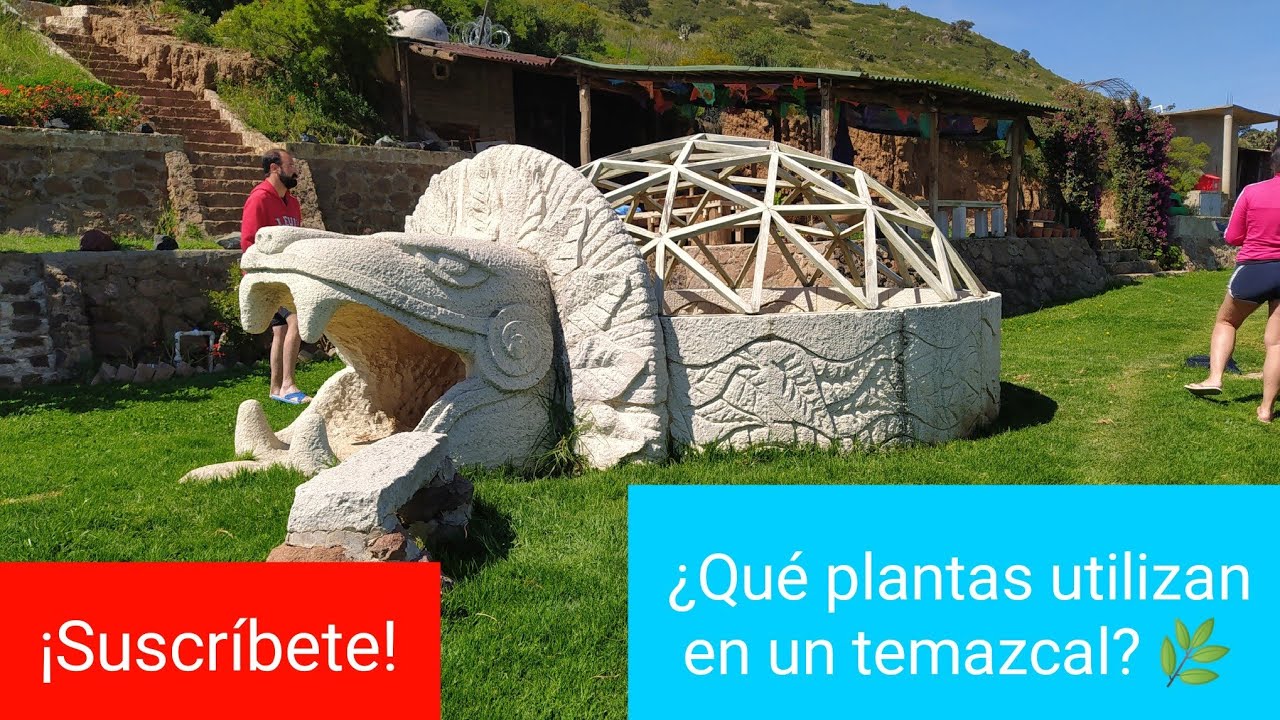 Temazcal, plantas y naturaleza | El jardín de mis amores