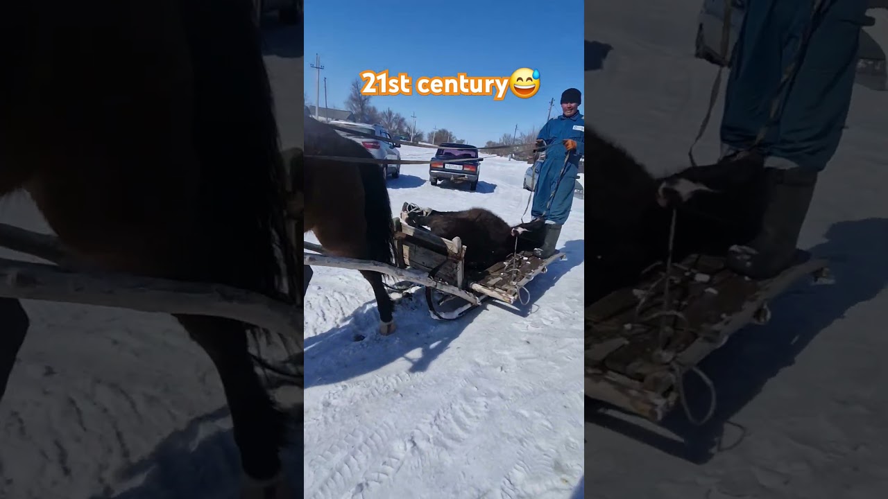 21st century🤣🤣 #youtube #auto #байгайстан #baigaistan4 #million #mandarin