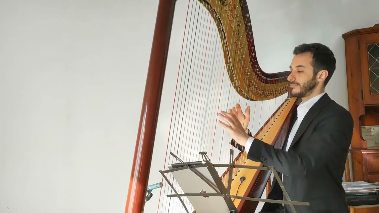 Fabio Rizza Harpist - 