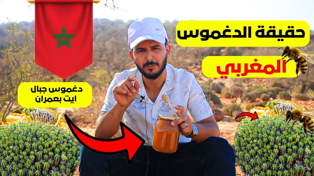 🍯عسل دغموس الحقيقي معلومات تبلور العسل من النحال المغربي عبدالله من تعاونية أرتنان ميل في مرعى دغموس