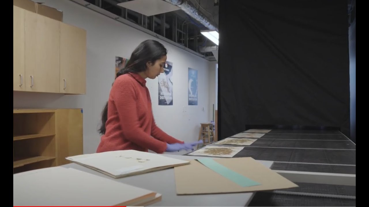 Turning Collections Specimens into Data | California Academy of Sciences