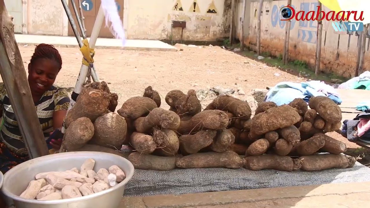 L'insertion socio-économique des femmes dans la Région Centrale au Togo