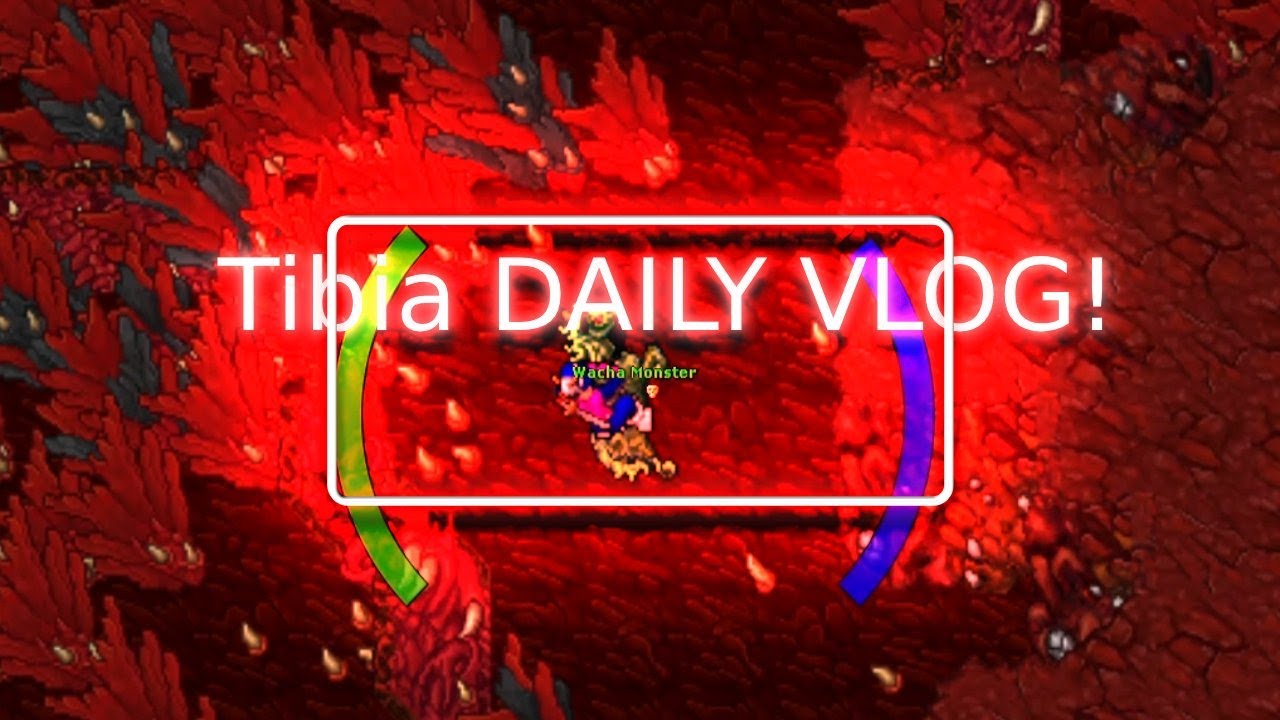 TIBIA DAILY VLOG #3 - NOWY TH? #TIBIA #VLOG