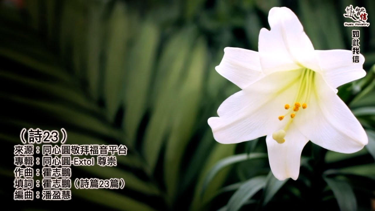 詩23
