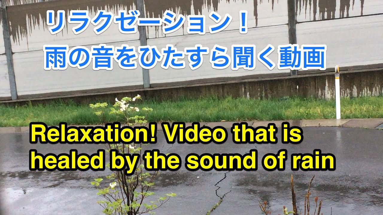 リラクゼーション！雨の音をひたすら聞く動画  Relaxation! Video that is healed by the sound of rain