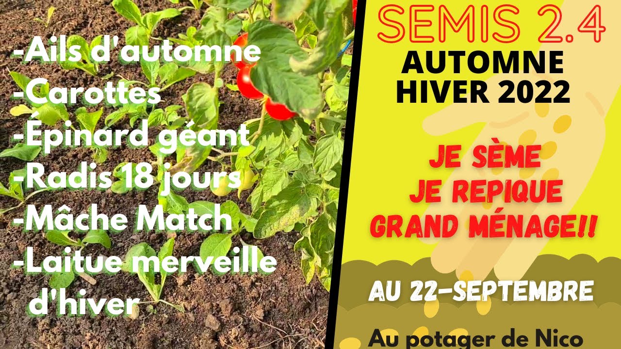 Semis et repiquages d'automne 🍂, 22 septembre. Fini les tomates place aux salades et autres verdures